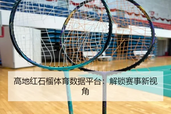 高地红石榴体育数据平台：解锁赛事新视角
